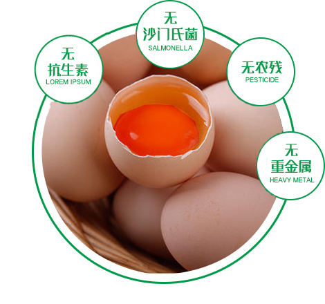 晟朝无菌蛋