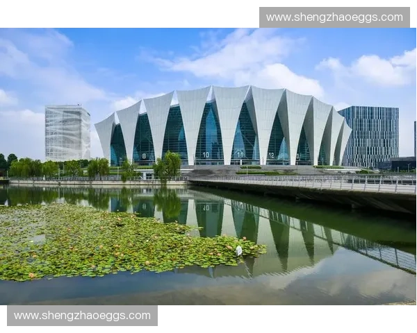 体育品牌创新升级引领全民运动消费新趋势与新体验打造未来生态圈