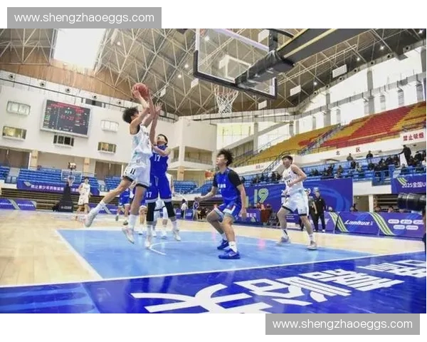 聚焦全球体育赛事直播精彩瞬间与实时互动体验全面呈现赛场激情与专业解说