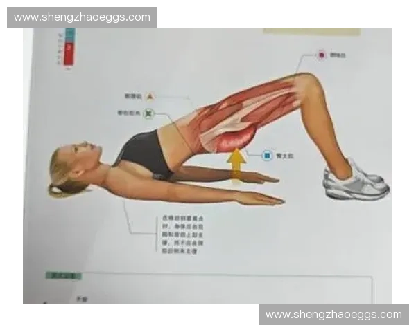 全面提升背部力量与稳定性的方法与训练指南