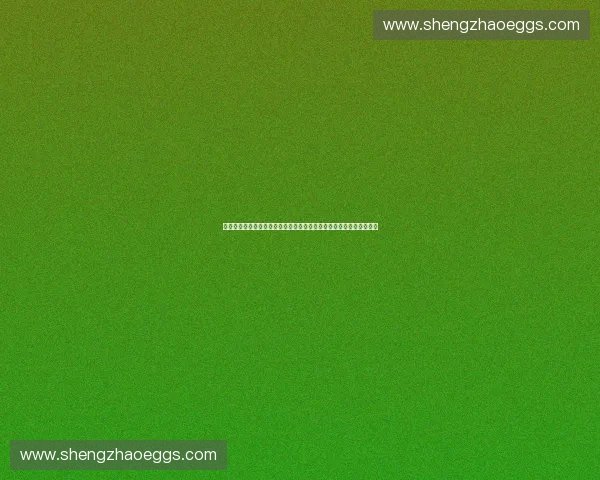 现代作战手册体系构建与战场应用能力提升研究及数字化转型路径探索